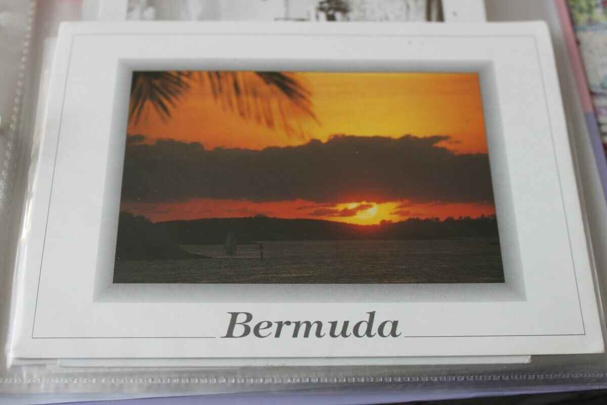 Минус месячная зарплата в год на «макулатуру»? Узнали, как и чем живут посткроссеры в Беларуси