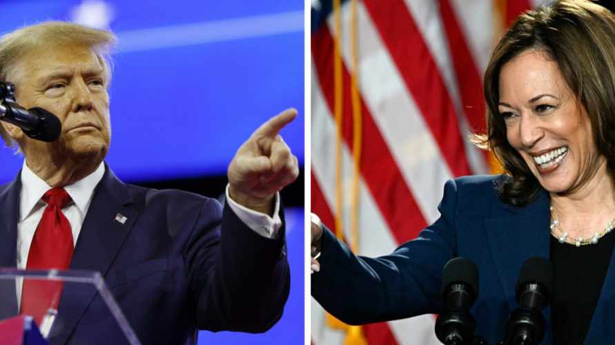 «Мужики нормальные с женщинами не воюют» - Лукашенко рассказал, за кого проголосовал бы на выборах президента США