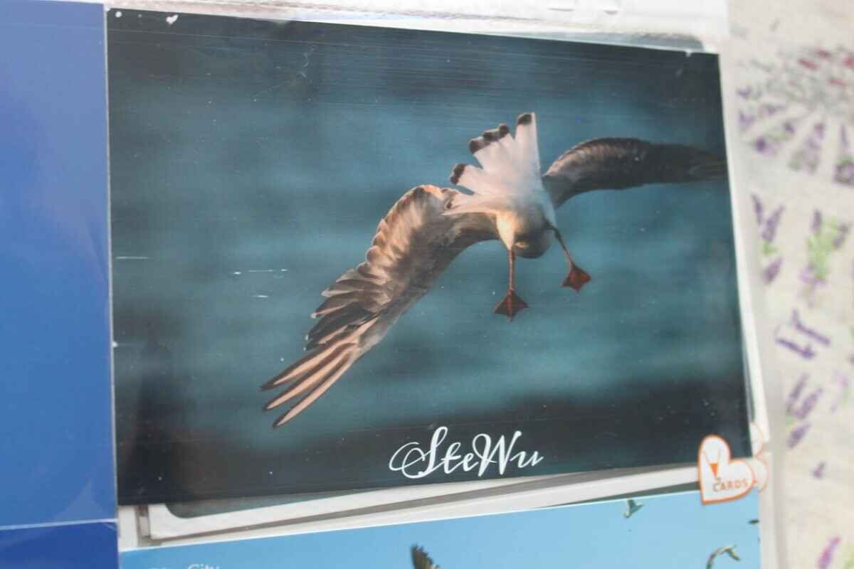 Минус месячная зарплата в год на «макулатуру»? Узнали, как и чем живут посткроссеры в Беларуси