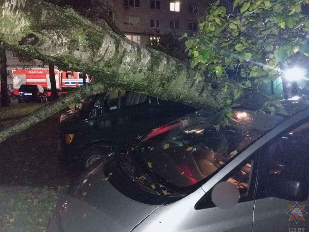 Фото: МЧС Беларуси