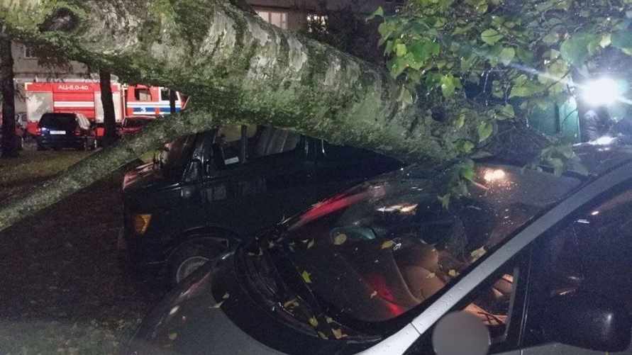 Фото: МЧС Беларуси