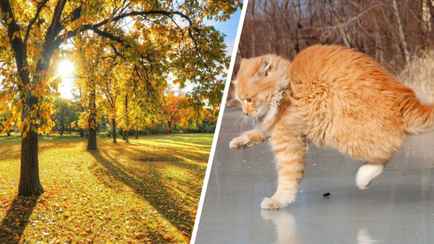 Синоптики предупредили белорусов о первом гололёде. Когда температура качнётся от -5° до +14°C?