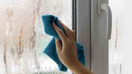 Эти 3 доступных средства из вашей кухни избавят от запотевших окон. А чем помогут коты?