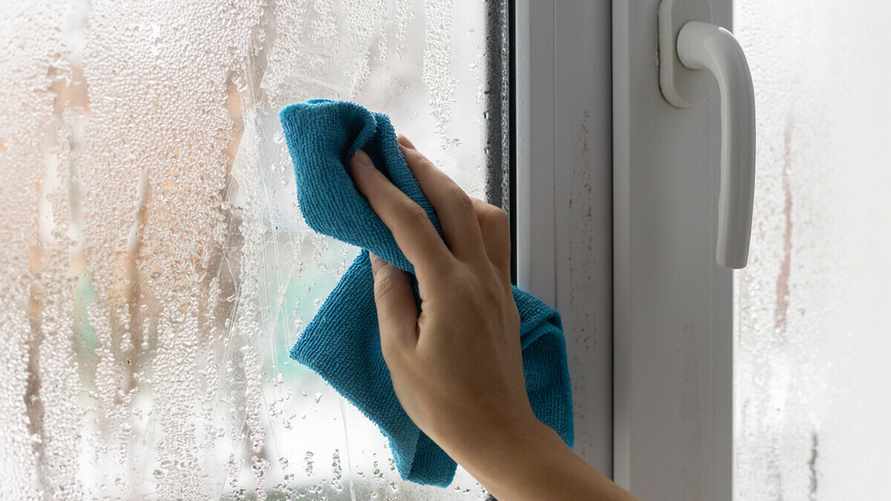 Эти 3 доступных средства из вашей кухни избавят от запотевших окон. А чем помогут коты?