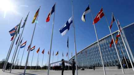 Cемь стран-членов НАТО выступили против вступления Украины в Альянс — Politicо