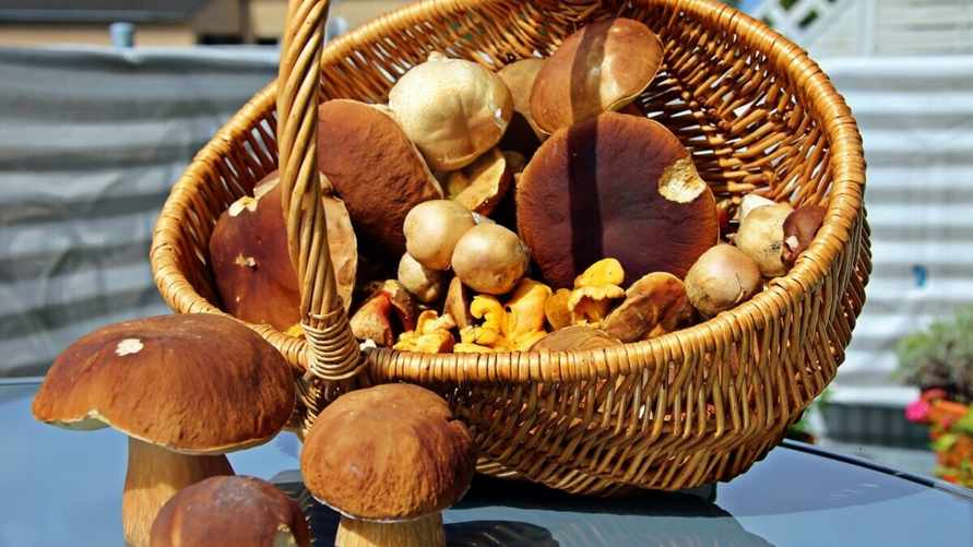 Фото иллюстрационное