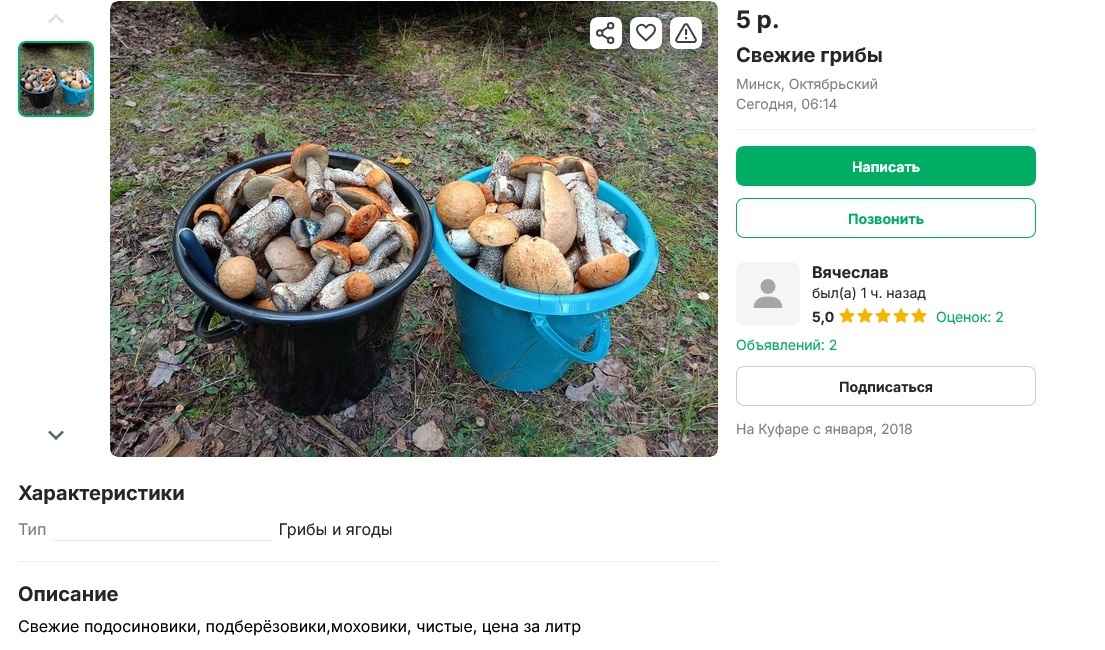 Опята – от 3 рублей, белые – от 25 рублей. Где белорусам закупиться грибами, пока в лесу «затишье»?