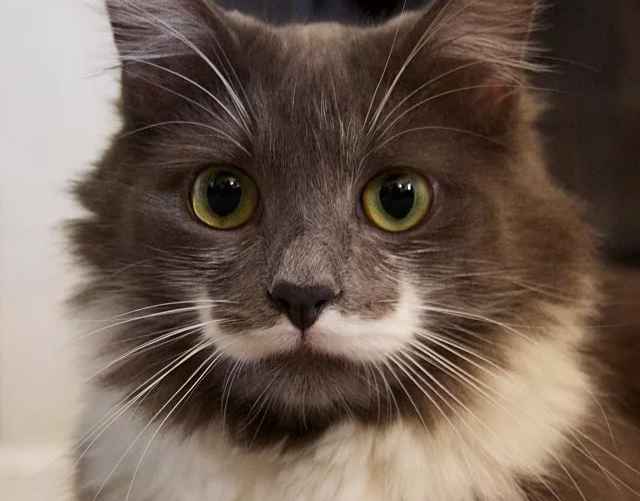 Фото иллюстрационное