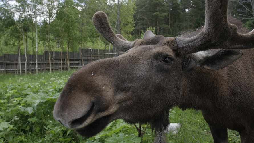 Фото иллюстрационное