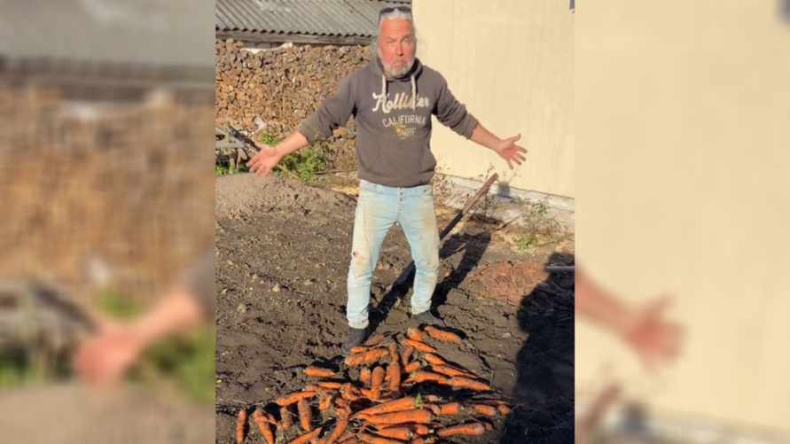 "Морковь с ума сошла" - Белорусский блогер показал, какой урожай вырастил из "контрабандных" польских семян