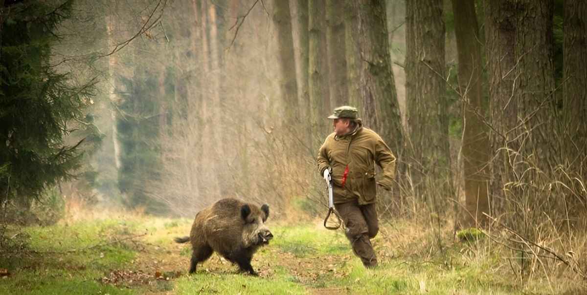 Фото иллюстрационное