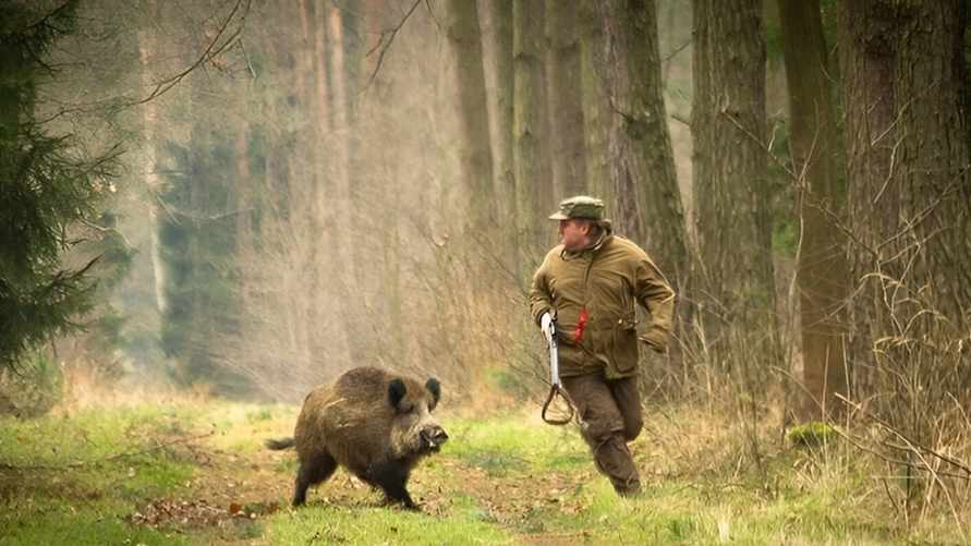 Фото иллюстрационное