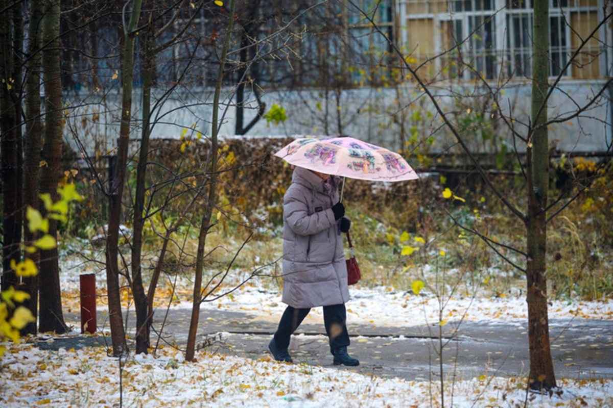 Фото иллюстрационное