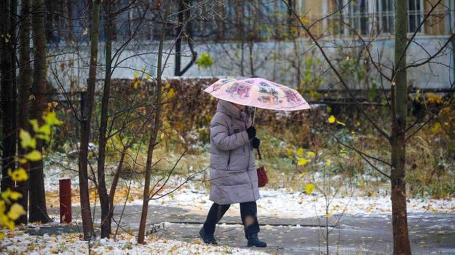 Фото иллюстрационное