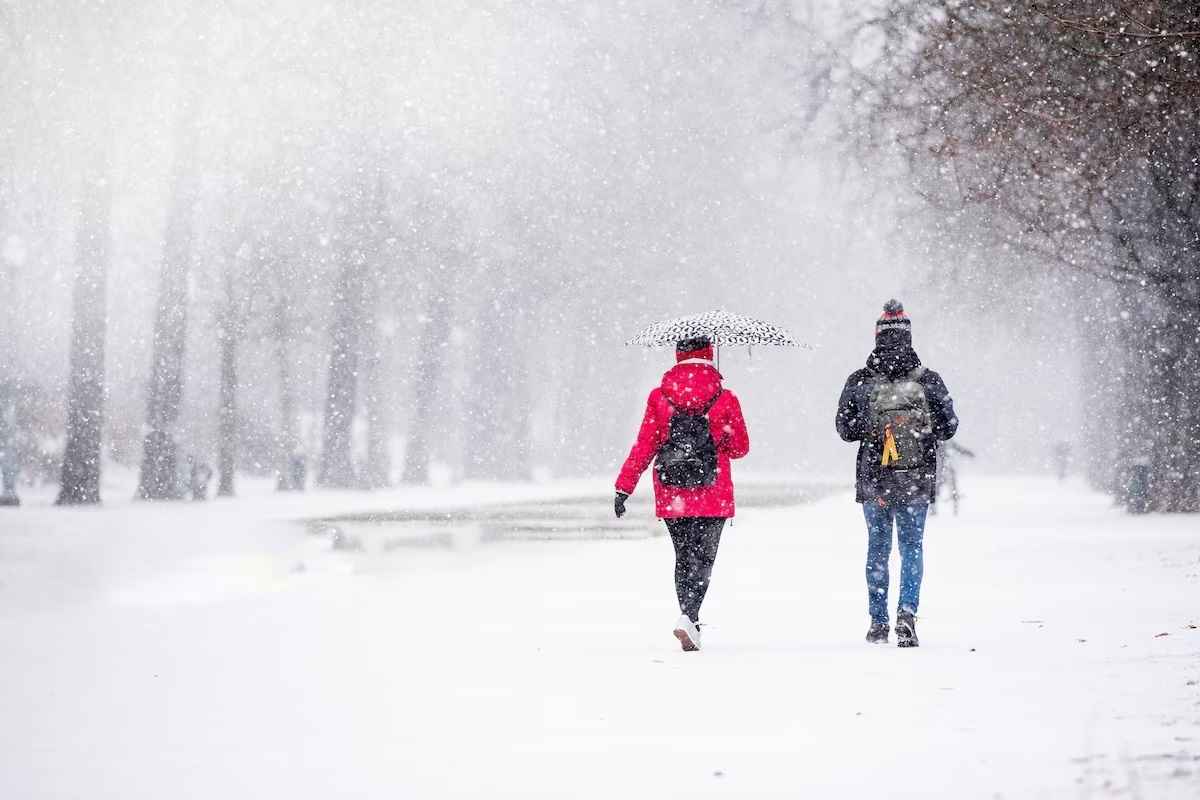 Фото иллюстрационное