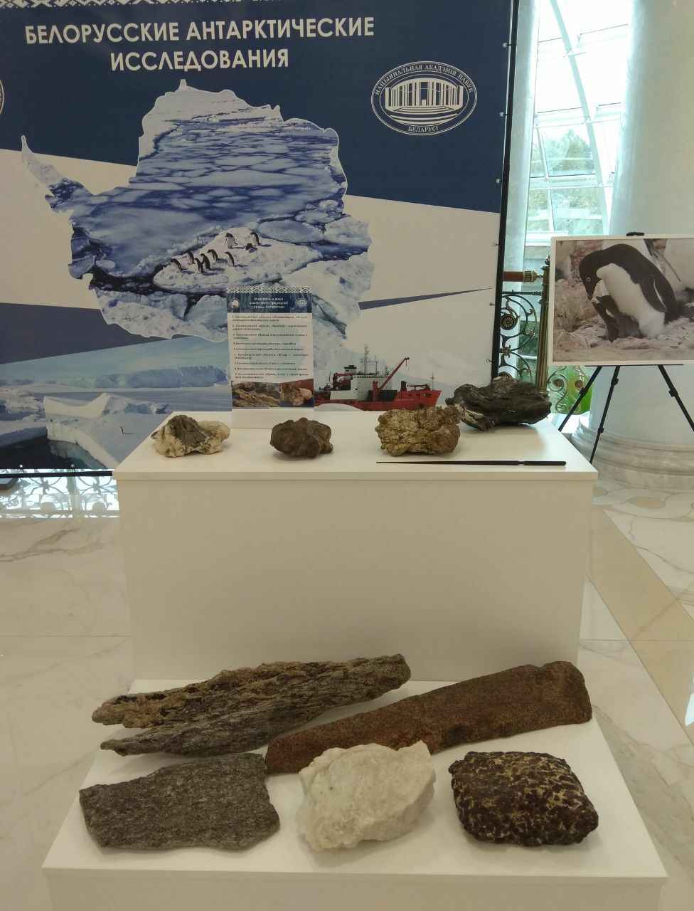 Лукашенко поручил использовать исследования Антарктиды в Беларуси и спросил, можно ли ему там пожить