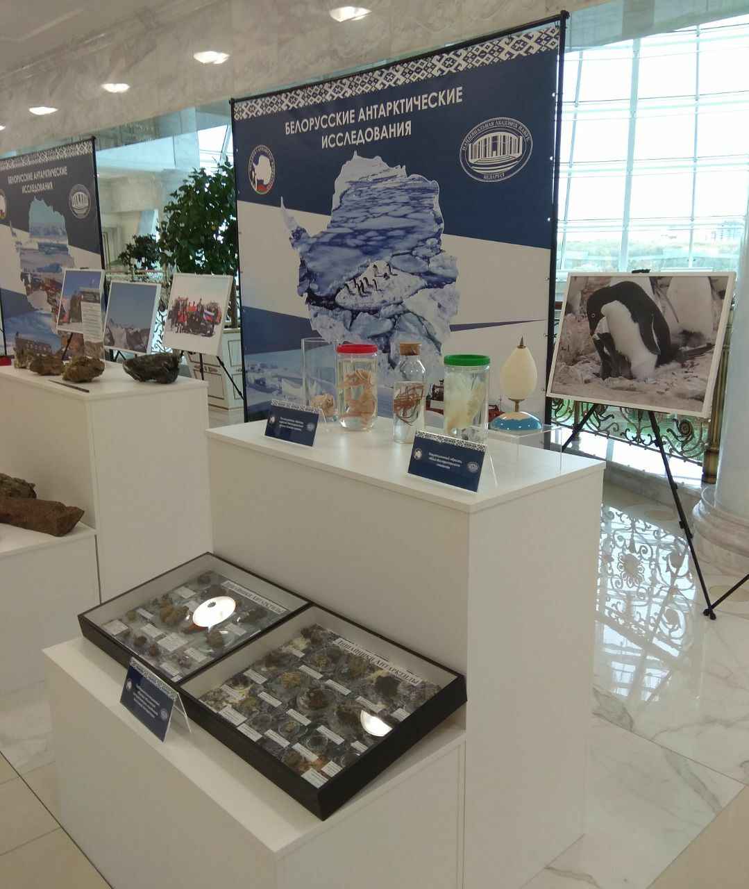 Лукашенко поручил использовать исследования Антарктиды в Беларуси и спросил, можно ли ему там пожить