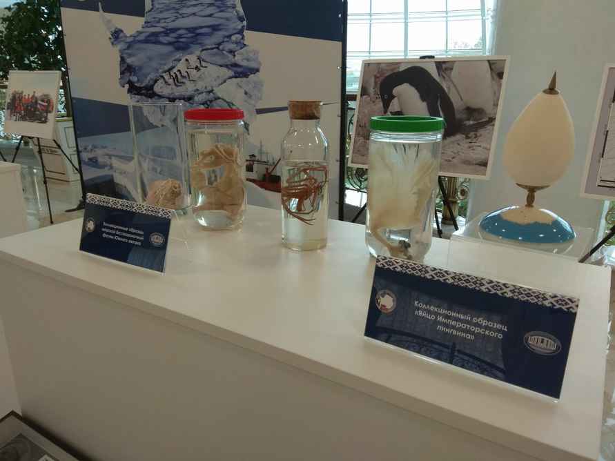 Лукашенко поручил использовать исследования Антарктиды в Беларуси и спросил, можно ли ему там пожить