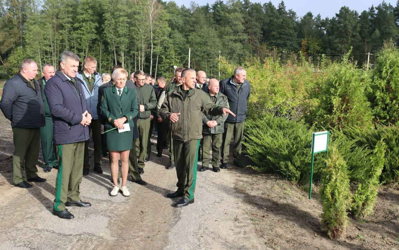 Фото: Минлесхоз Беларуси