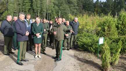 Глава Минлесхоза потребовал выращивать это в каждой области Беларуси. За какую зарплату похвалил гомельских лесников?