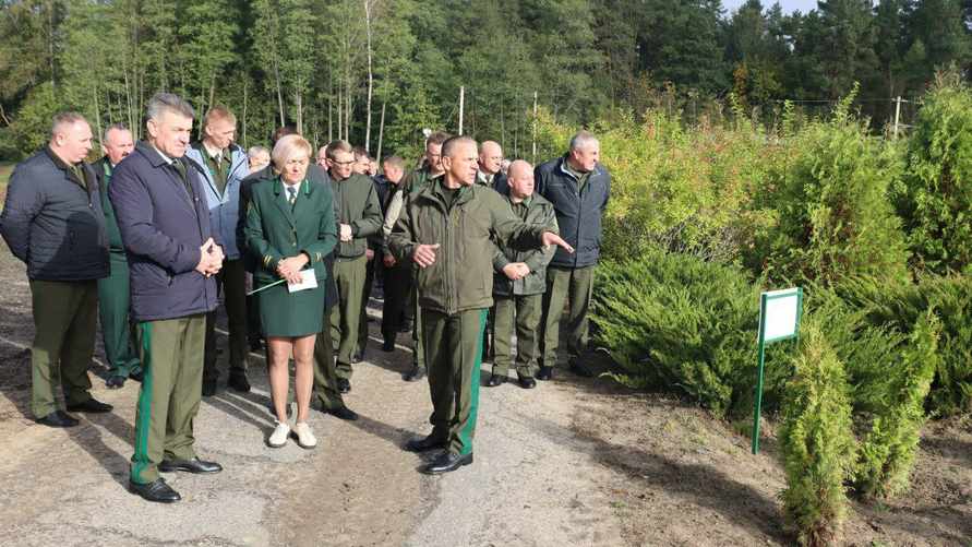 Фото: Минлесхоз Беларуси