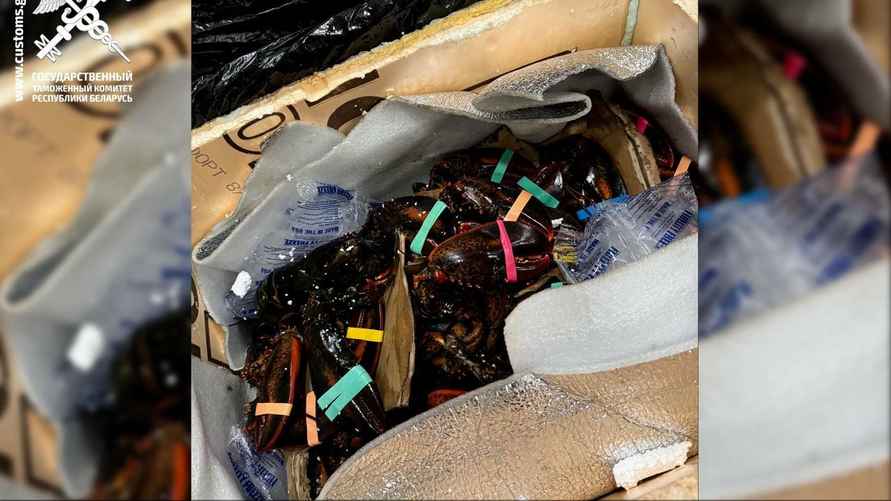 Фото: ГТК Беларуси