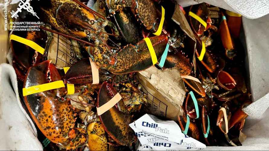 Фото: ГТК Беларуси