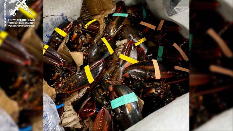 Фото: ГТК Беларуси