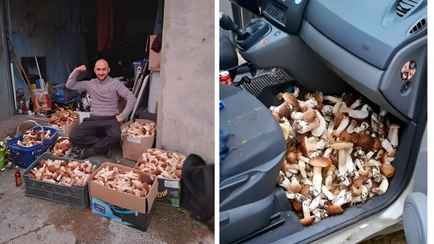 Более 113 кг грибов, 4 млн просмотров и буря возмущения. Польский грибник взорвал TikTok