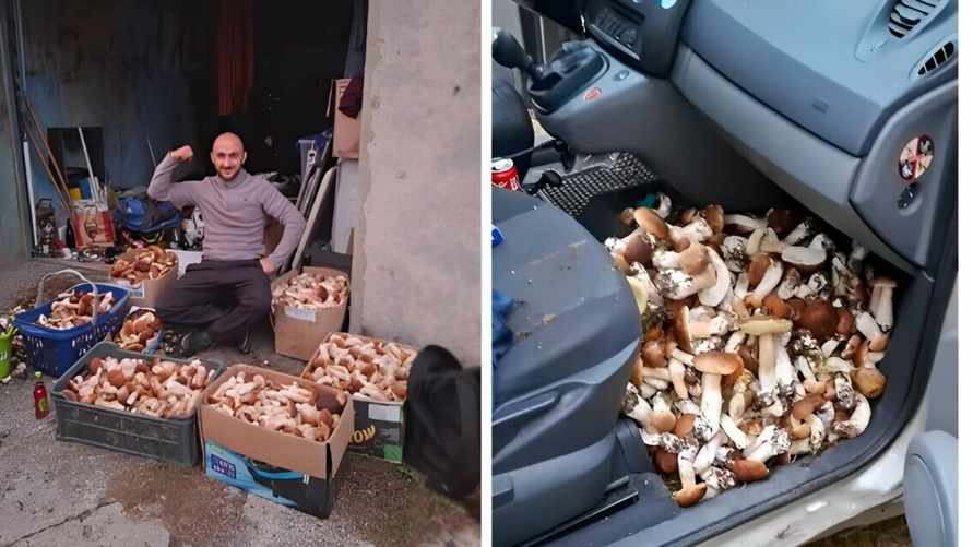 Более 113 кг грибов, 4 млн просмотров и буря возмущения. Польский грибник взорвал TikTok