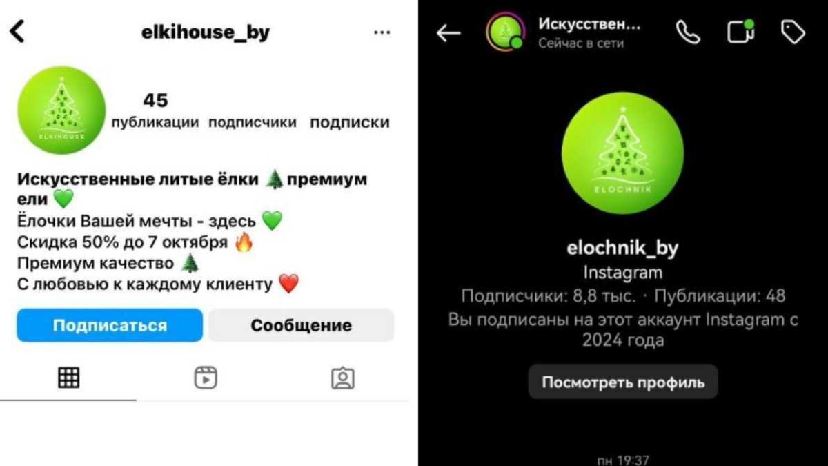 В Беларуси активизировались "ёлочные" мошенники. На каких Instagram-аккаунтах лучше не закупаться?