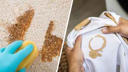 Пролили кофе на диван, ковёр или одежду? Не покупайте чистящие спреи, пока не попробуете эти 10 бабушкиных трюков