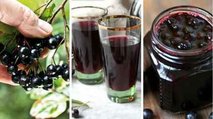 Пользу черной рябины зря недооценивают многие белорусы. Как приготовить из нее сок и варенье за 30 минут?