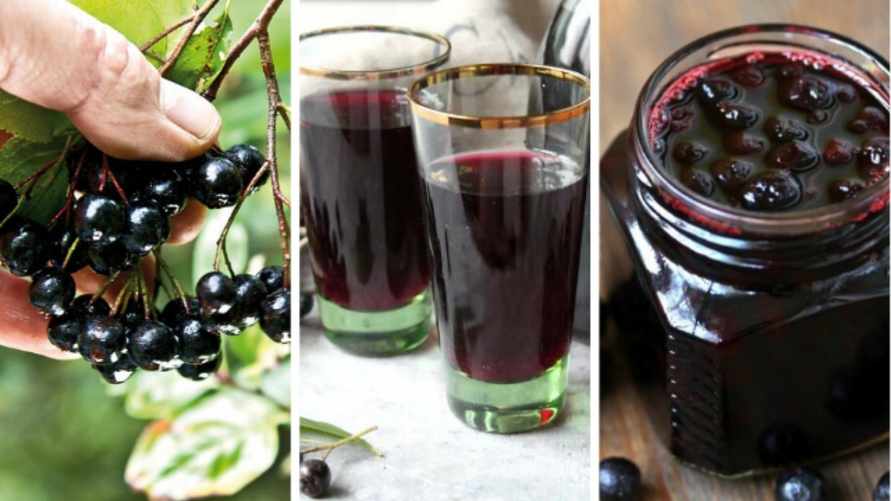 Пользу черной рябины зря недооценивают многие белорусы. Как приготовить из нее сок и варенье за 30 минут?