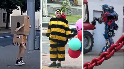 «Грустный шмель», «Трактобот» и люди в коробках. Собрали топ смешных видео с белорусами, которые поднимут настроение