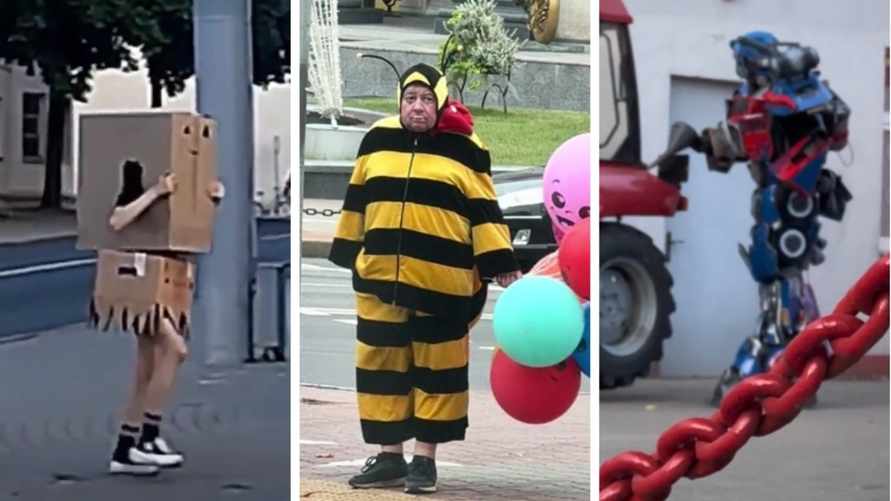 "Грустный шмель", "Трактобот" и люди в коробках. Собрали топ смешных видео с белорусами, которые поднимут настроение