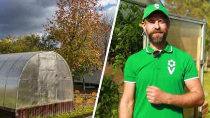 Не перекапывайте землю в теплице. Садовод показал 3 действия, которые не дадут перезимовать фитофторе