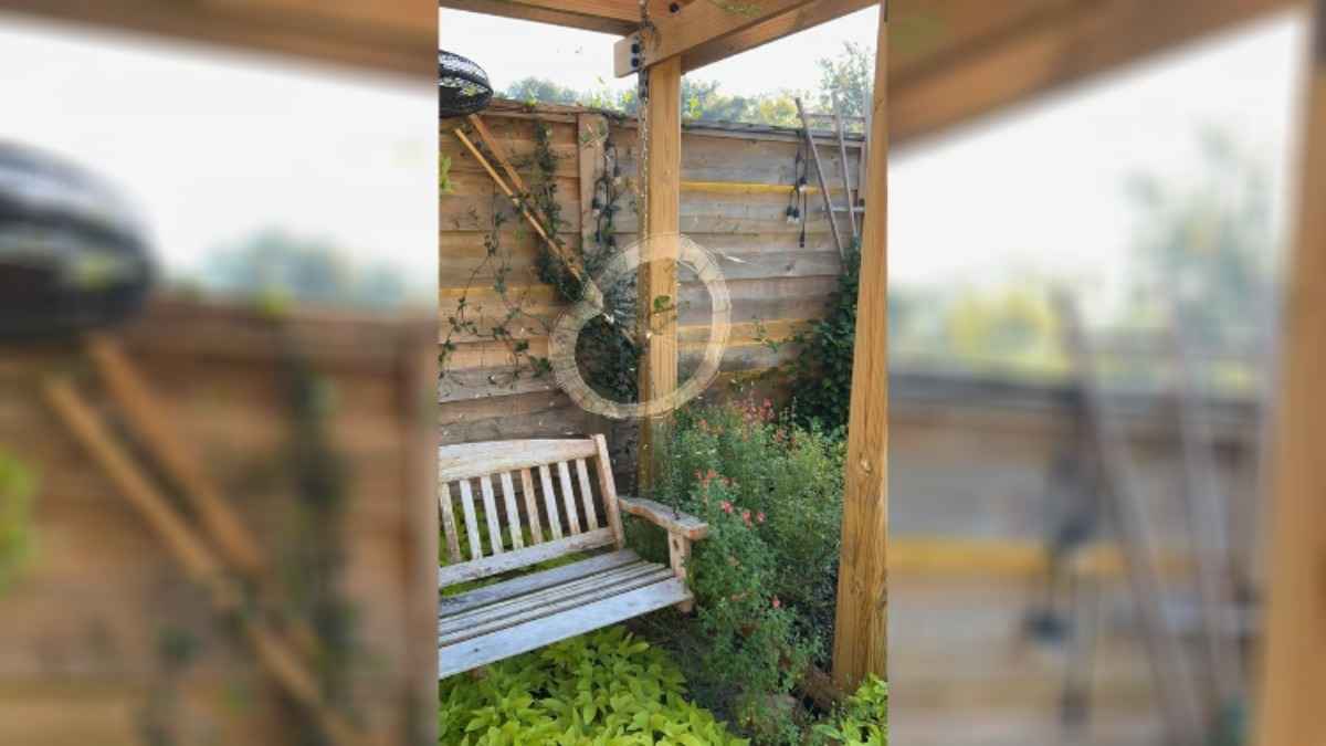 «Халявный декор на Хэллоуин» — Видео, как паук-«трудяга» плетет паутину собрало почти 1,5 млн просмотров TikTok