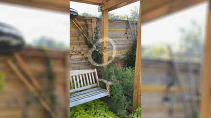 «Халявный декор на Хэллоуин» — Видео, как паук-«трудяга» плетет паутину собрало почти 1,5 млн просмотров TikTok