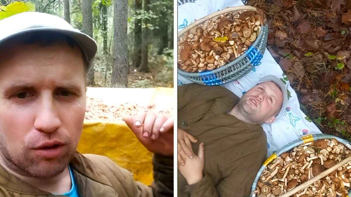"Полный прицеп насобачил" — Белорусский блогер показал, где пошли опята. Подписчики оценили не только грибы