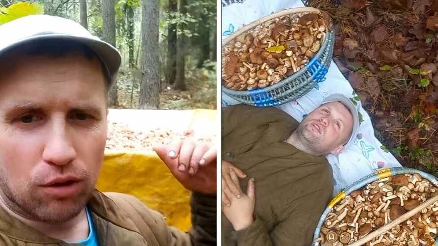 "Полный прицеп насобачил" — Белорусский блогер показал, где пошли опята. Подписчики оценили не только грибы