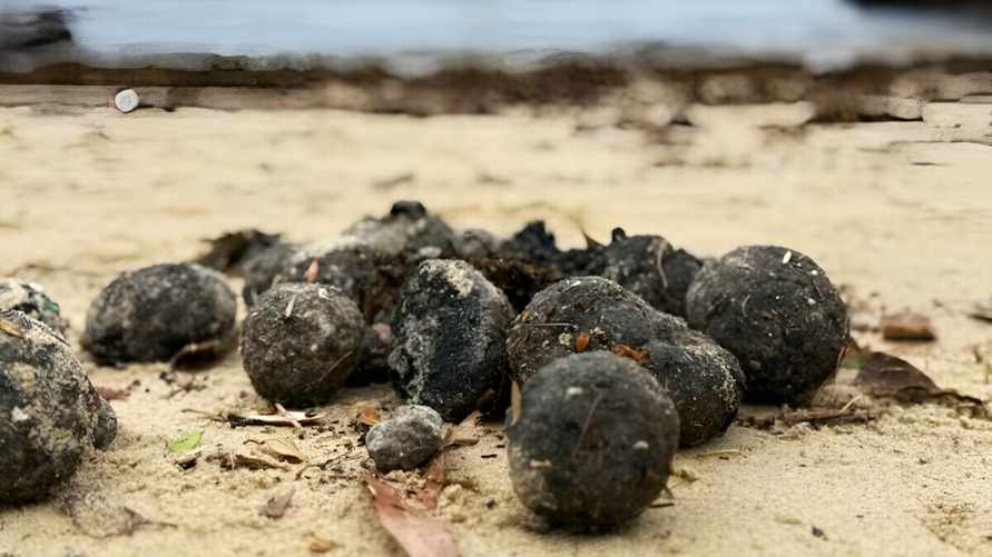 В Австралии закрыли пляжи из-за "таинственных чёрных шаров", которые выбросило на сушу