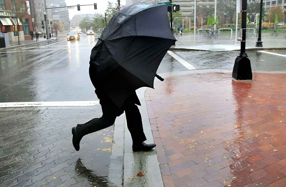 Ветер до 72 км/ч. Синоптики объявили оранжевый уровень опасности для одной области Беларуси