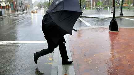 Ветер до 72 км/ч. Синоптики объявили оранжевый уровень опасности для одной области Беларуси