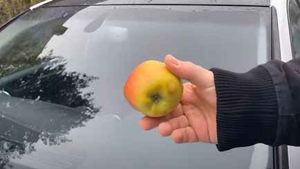 Зачем протирать лобовое стекло яблоком? Вот почему это трюк используют дальнобойщики