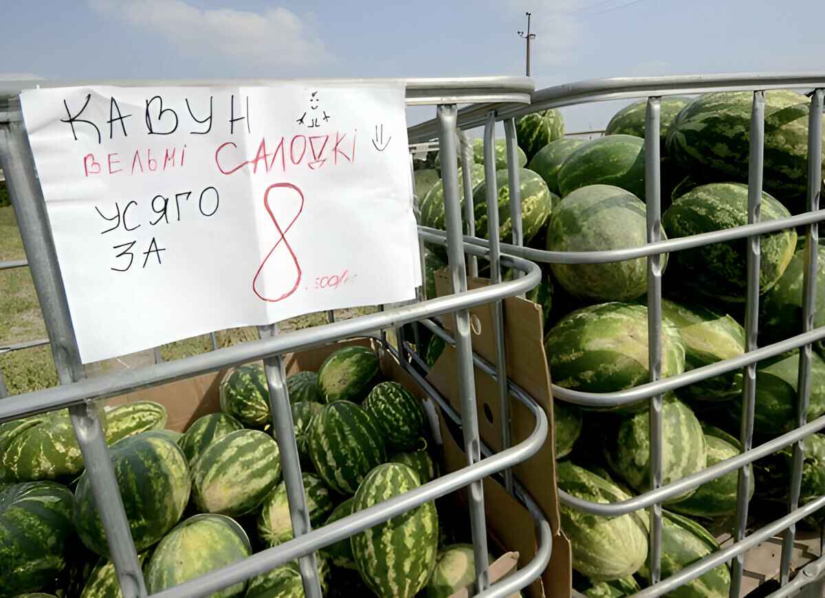 Лукашенко призвал выращивать в Беларуси новые фрукты. Что предложил на Гомельщине, кроме арбузов и винограда?