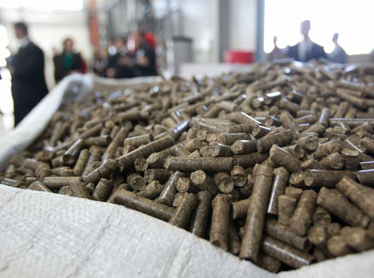 Фото иллюстрационное: PhotoXPress.ru