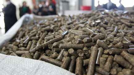 Минлесхоз установил розничные цены на топливные пеллеты для белорусов