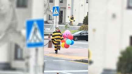 «Он хоть в курсе, что стал звездой?» — Ролик с «грустным шмелем» из Минского цирка за сутки набрал почти 2 млн просмотров