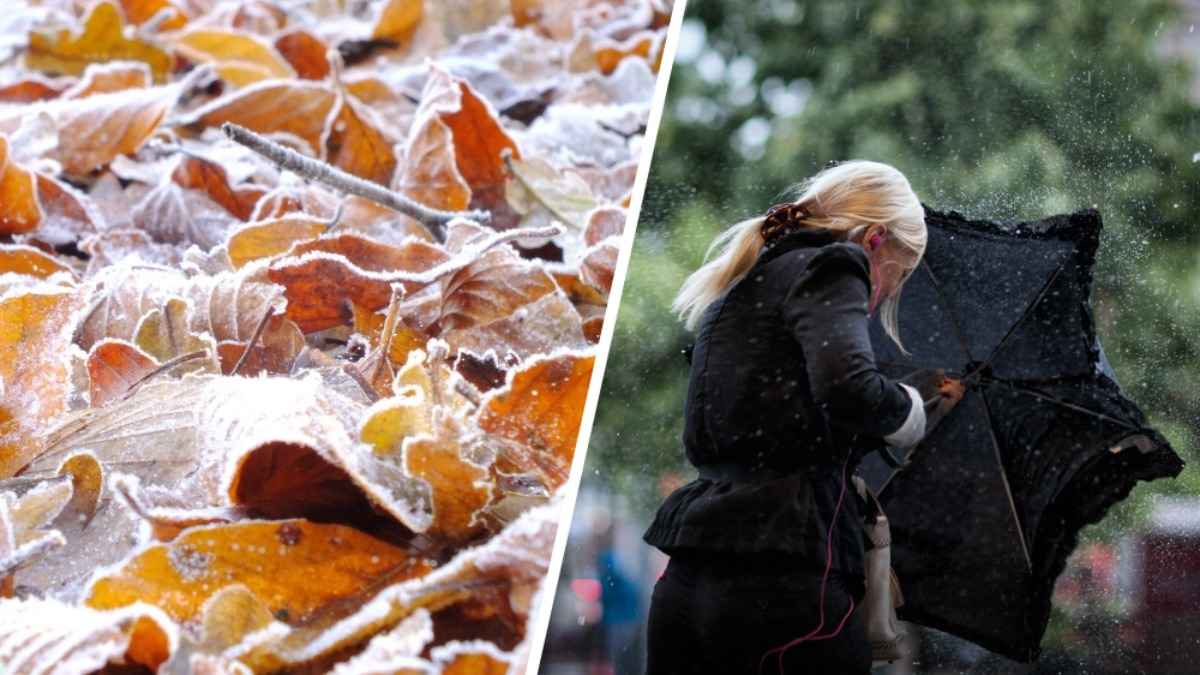 Когда в Беларуси ждать заморозки до -2°C? Синоптики предупредили о дождях и "сильном ветре"